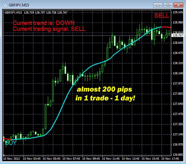 Profit and loss forex network new york