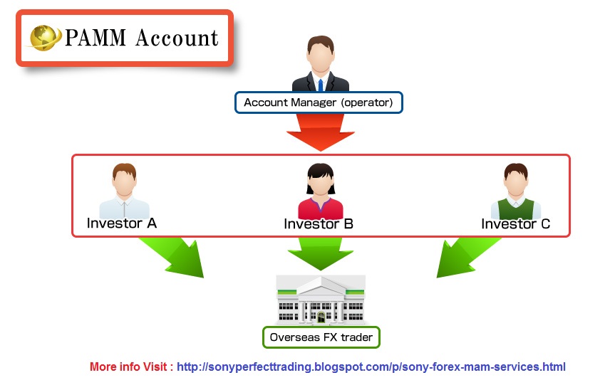 best forex managed accounts