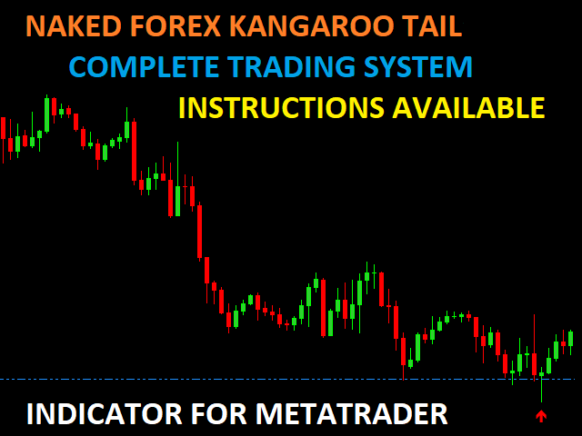 Kangaroo tail forex