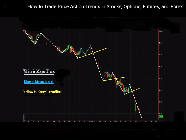 Micro Trend breakouts