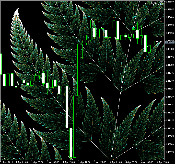 図11. バーンズリーのシダの葉の拡大