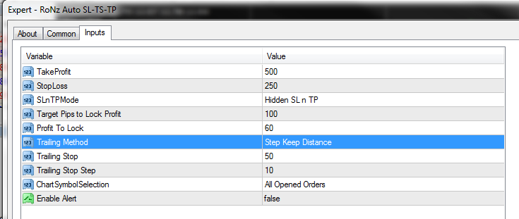 Ronz Auto SL TS TP Input Params