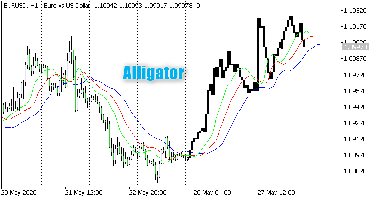 Alligator Alligator