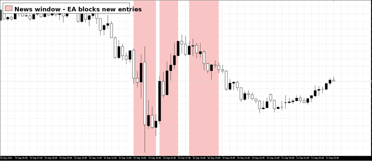ws windows blocked by the filter, shown in the Strategy Tester visual mode