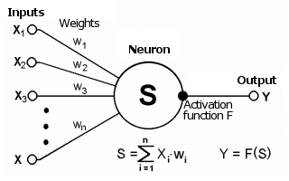 Schematisches Diagramm eines Neurons