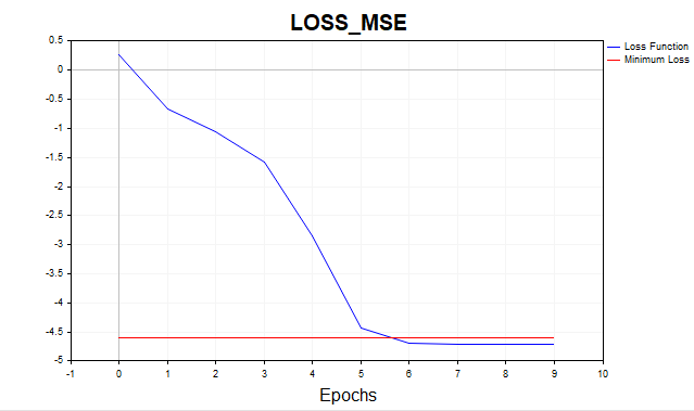 Loss LM