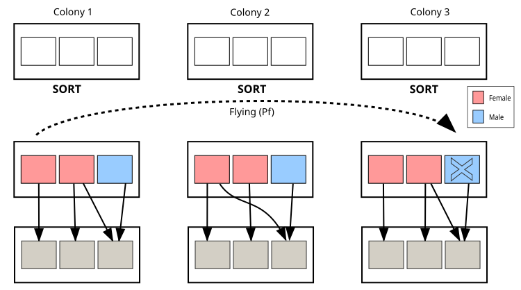 cpa algorithm diagram