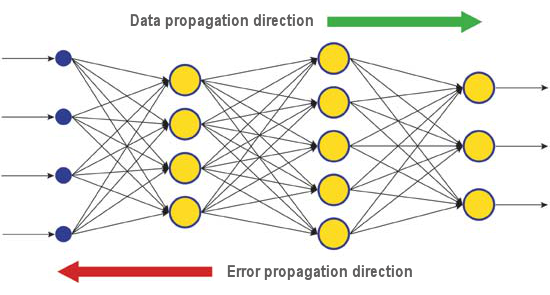 Fig. 6. Le modèle de diffusion des données et des erreurs dans un réseau lors de l’apprentissage par rétropropagation