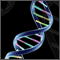 在 MetaTrader 4 中比较基因演算方法和简单搜索
