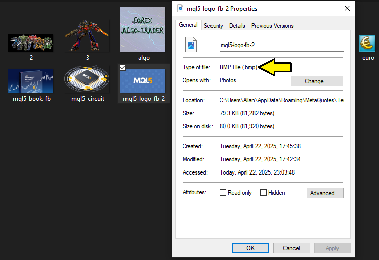 BITMAP FILE