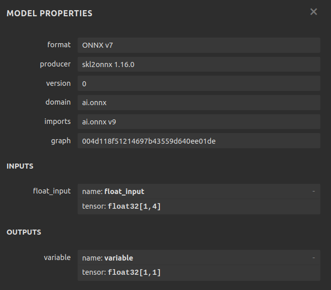 Our ONNX file meta details
