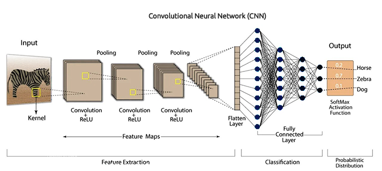 Red neuronal convolucional