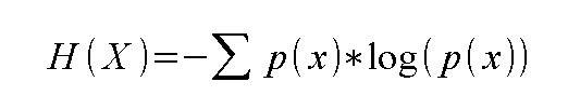 Equazione dell'Entropia