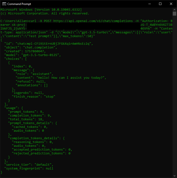 API CURL TEST ON CMD