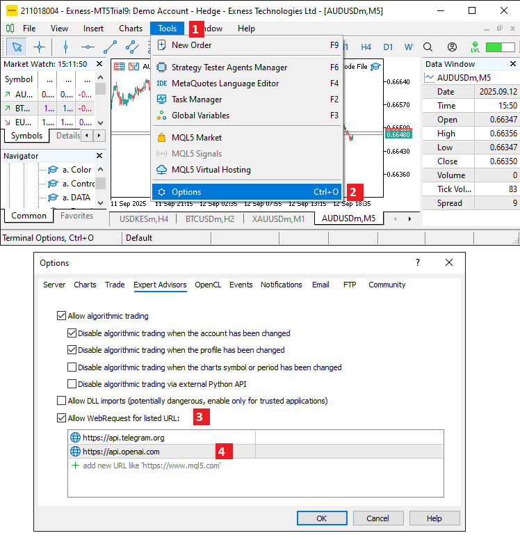 MT5 WEB REQUEST LINK ENDPOINT