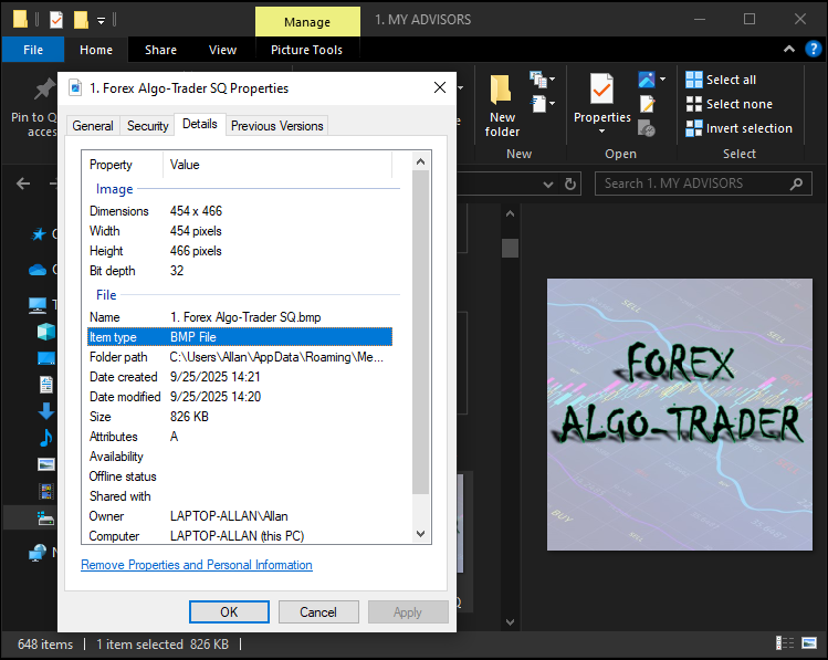 BITMAP FILE IMAGE