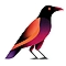 Алгоритм Поиска Ворона — Crow Search Algorithm (CSA)