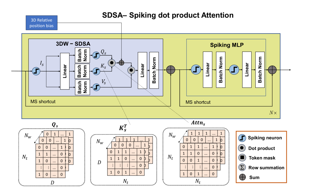 Spiking Dot Product Attention