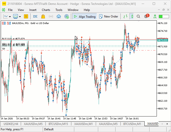 CANVAS DASHBOARD BACKTEST