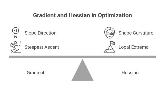 Gradient and Hessian in optimization