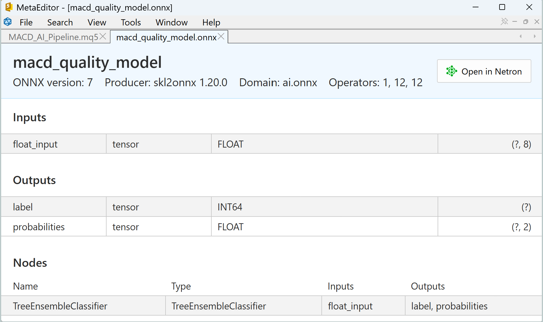 ONNX Model in MetaEditor ONNX Model in MetaEditor