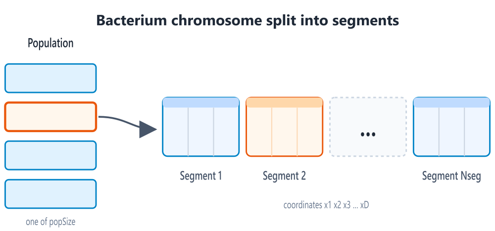 chromosome_segments
