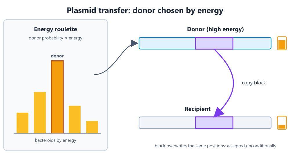 nbe_plasmid
