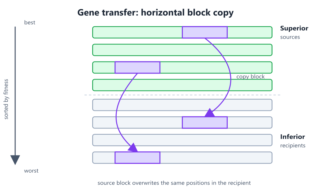 gene_transfer