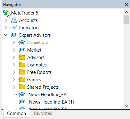 Launching from MetaTrader 5
