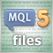 MQL5 Programming Basics: Files