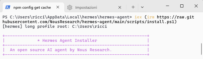 Hermes setup wizard Hermes setup wizard