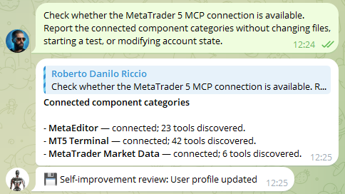 MetaTrader 5 MCP connection MetaTrader 5 MCP connection