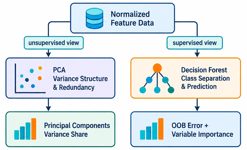 Fig. 2. PCA and decision forests provide complementary views of the same market-feature dataset Fig. 2. PCA and decision forests provide complementary views of the same market-feature dataset