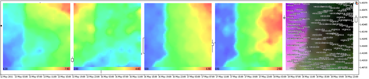 図１３アイリス花のデータセットのコンポーネントプレーンでの表現