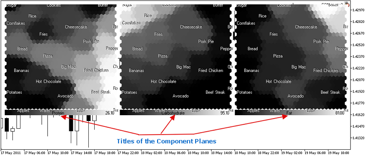 Figure 18. Kohonen Map of food in black/white gradient color scheme