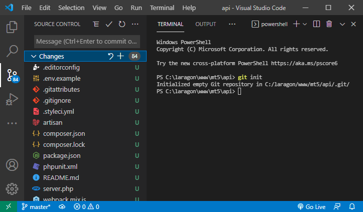 Рис. 9 - Терминал в редакторе VS Code.