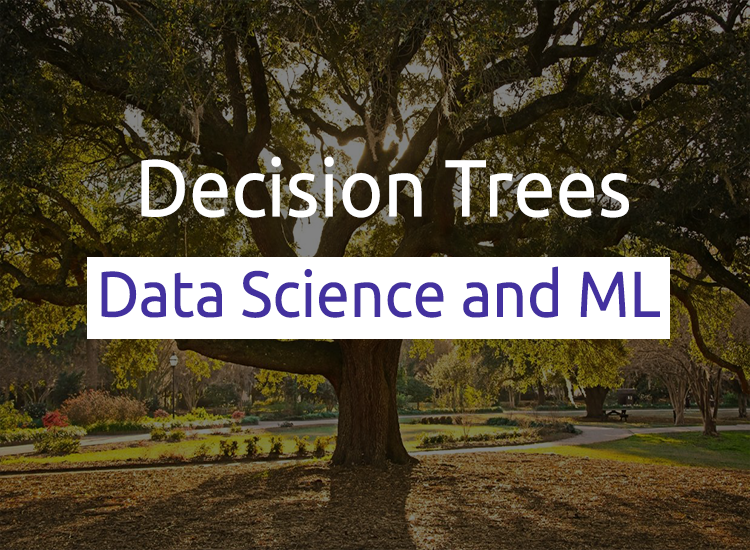 Decision trees article image