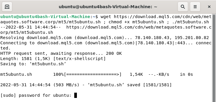 Installing Wine and MetaTrader 5 with a single command