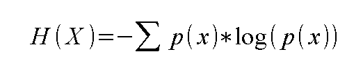 Ecuación de la entropía