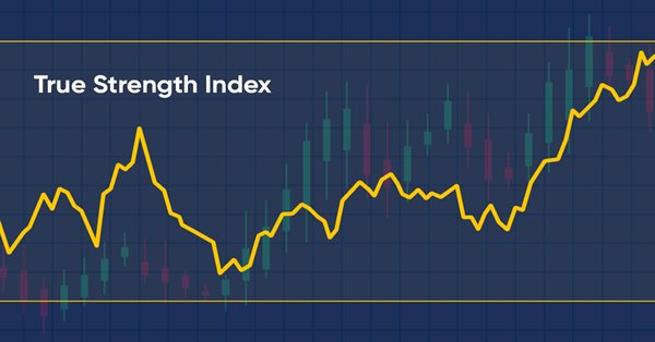 Wie man einen nutzerdefinierten True Strength Index-Indikator mit MQL5 erstellt