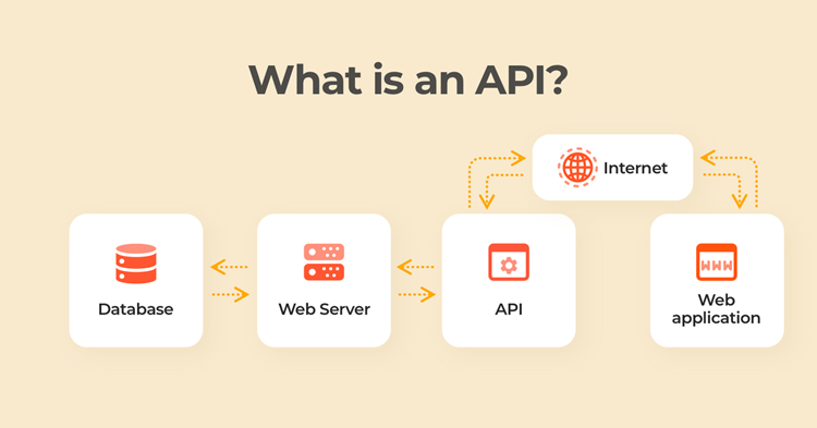 whats is an api