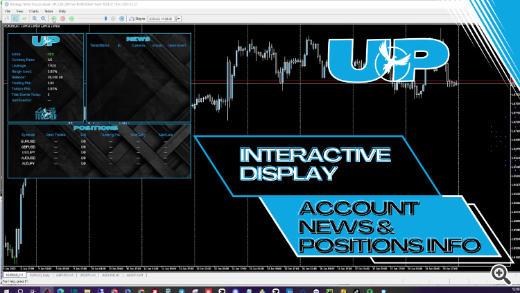 Interactive Display