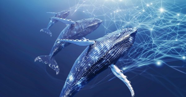 Популяционные алгоритмы оптимизации: Алгоритм оптимизации китов (Whale Optimization Algorithm, WOA)