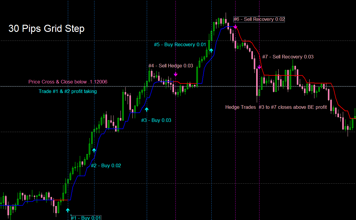 Anti Martingale Hedge Grid Ea An Order To Develop The Trading - 