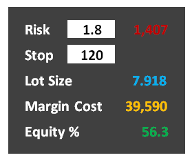 Margin and Lot Size Panel