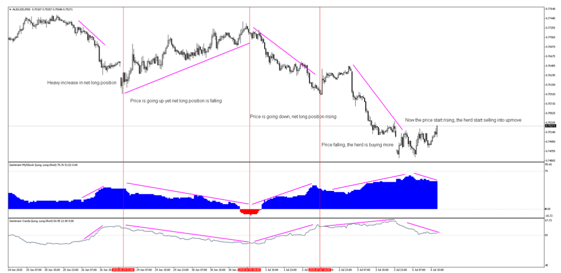 Need To Create Sentiment Indicator Mql5 Community 프리랜싱 서비스에서 기술 지표을 를 개발하기 위한 주문 Ko