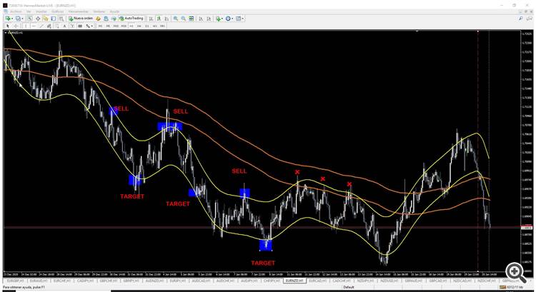 AUTOMATIZAR ESTRATEGIA