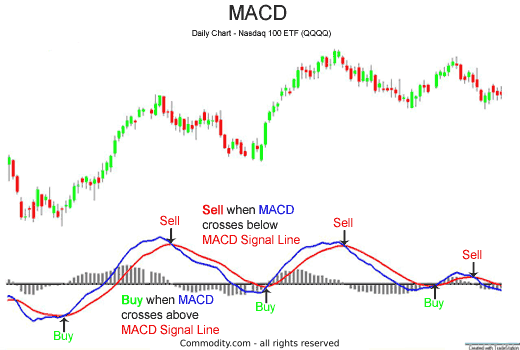 MACD Buy and Sells