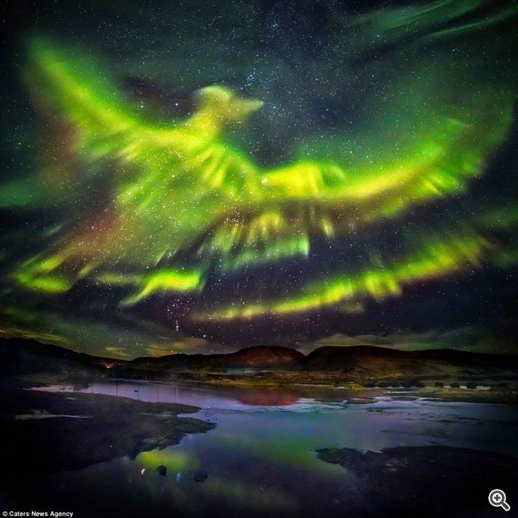 Aurore boréale en Islande, prenant la forme de l'oiseau Phoenix.