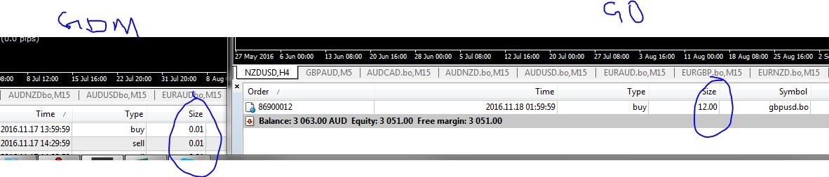 gdm-binary options